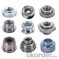 Zinc Nuts Hardware Fittings 2015 New Product with Customised Size