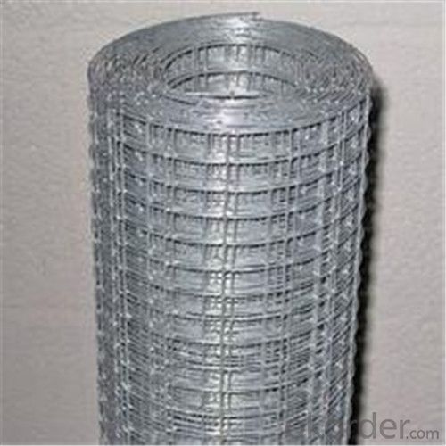 Galvanized Welded Wire Mesh High Quality!! Made in China Lower Price