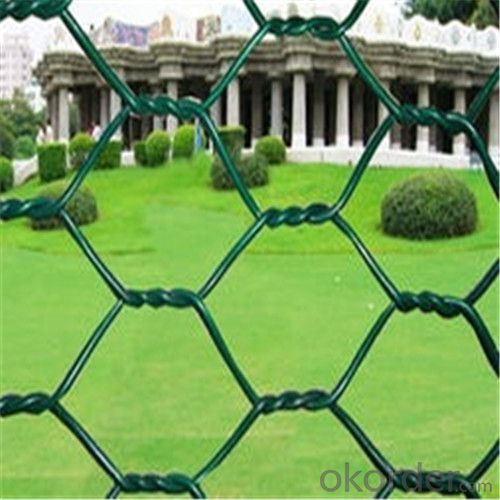Chainlink Wire Mesh Galvanized or PVC Coated for Safety Factory Direct Price