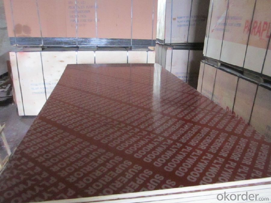 Plywood for Construction 1220X2440mm Factory Price