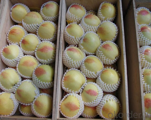 Protect Fresh Fruit Foam Mesh Net for sales