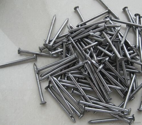 Common Iron Nails Industrial Nails or Furniture Nails