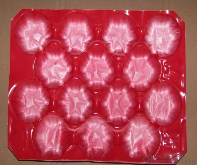 Recycled PP Plastic Tray for Tomato Packing
