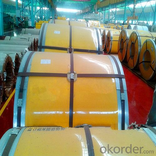 Stainless Steel Coil in Hot Rolled Cold Rolled