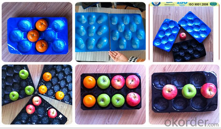 PP Navel Fruit Liner Container with Different Colors