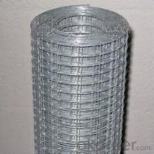 Galvnized Wire Mesh/Hot Dipped and Electro Galvanized with Good Quality .