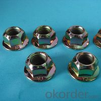 Flange Nuts Hexagon Nuts with Flange Stainless Steel DIN6923