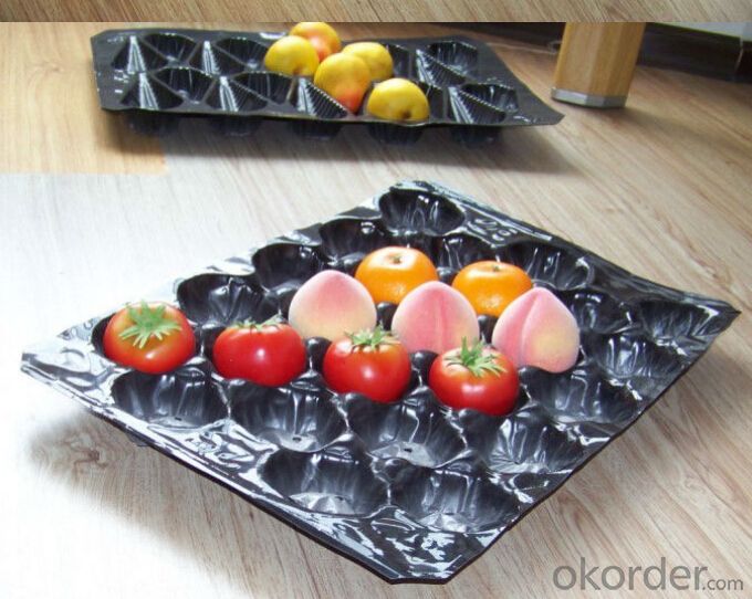 Plastic Stackable Fruit Tray Packing for sales