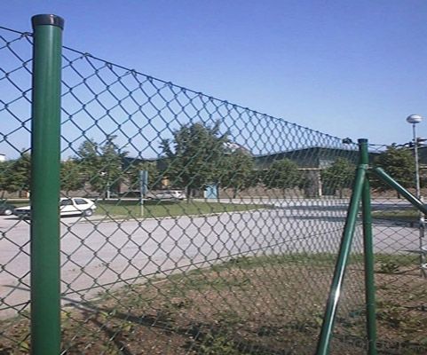 Chainlink Wire Mesh/PVC coated, electro galvanized and hot dipped galvanized Chainlink fence