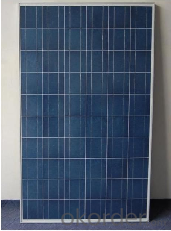 Poly 250w Solar Panels of CNBM