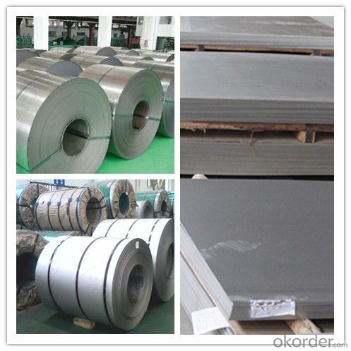 Hot-Rolled&Cold Rolled Stainless Steel Coil (304, 304L, 316, 316L, 321, 310S, 309S)