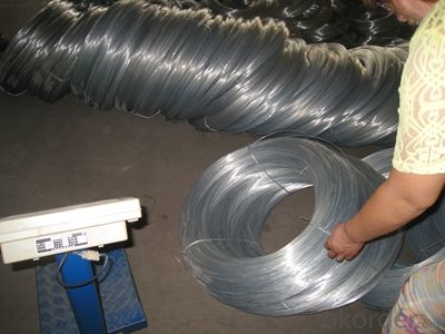 Common Nails/ Wire Nails/ Iron Nail for Industrial