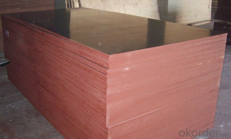 Black Film Faced Plywood Hardwood Core Phenolic Glue Water Boiled Proof