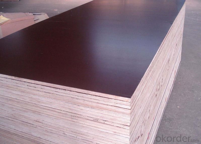 Black Film Faced Plywood Hardwood Core Phenolic Glue Water Boiled Proof