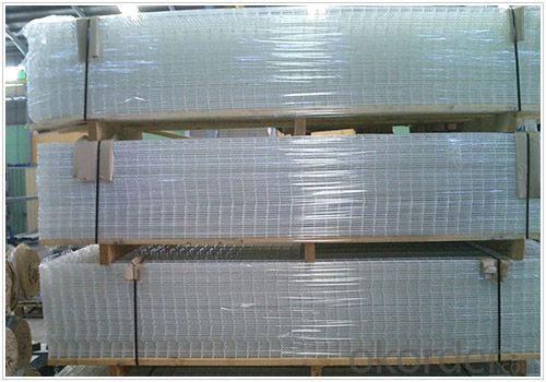Reinforced Welded Mesh Panel 5*5cm, 10*10cm, 5*10cm Factory