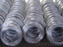 Galvanized Iron Wire/Binding Wire for Buliding Material with Nice Price