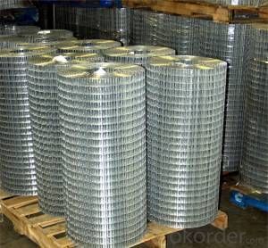 Galvanized Welded Wire Mesh Quality-Assured Factory Direct Price