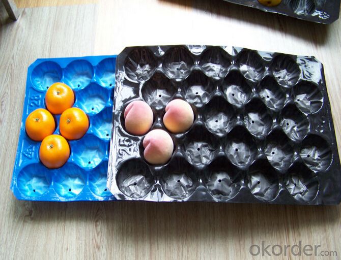 Recycle Plastic Fresh Fruit Packaging Tray