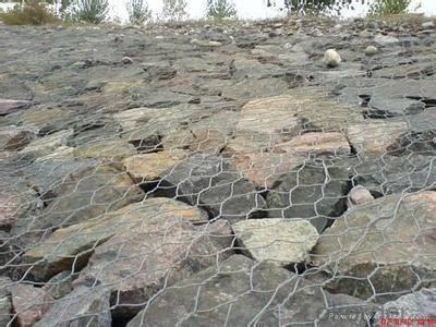 Galvanized Hexagonal Wire Netting good corrosion resistance and oxidation resistance