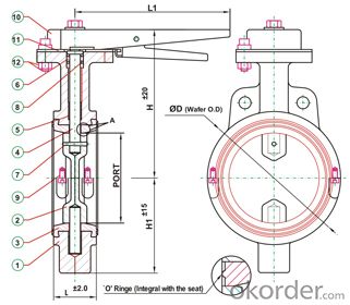 Butterfly Valve  with Plastic Handle Made in China