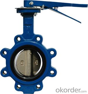 Butterfly Valve Stainless Steel Threaded Directional with Plastic Handle Made in China