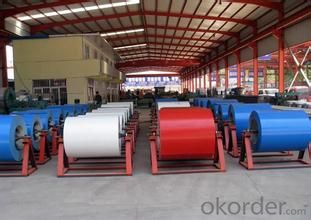 Prepainted Galvanized Rolled Steel Coil  in China
