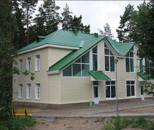 Roofing Sheet / Prepainted Galvanized Steel Coil with Zinc Coating