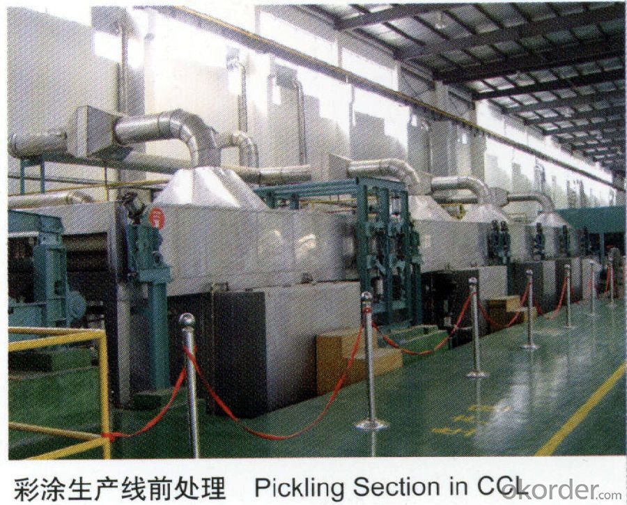 Coated  Steel coil/Roofing Application/AL-Zn PPGI