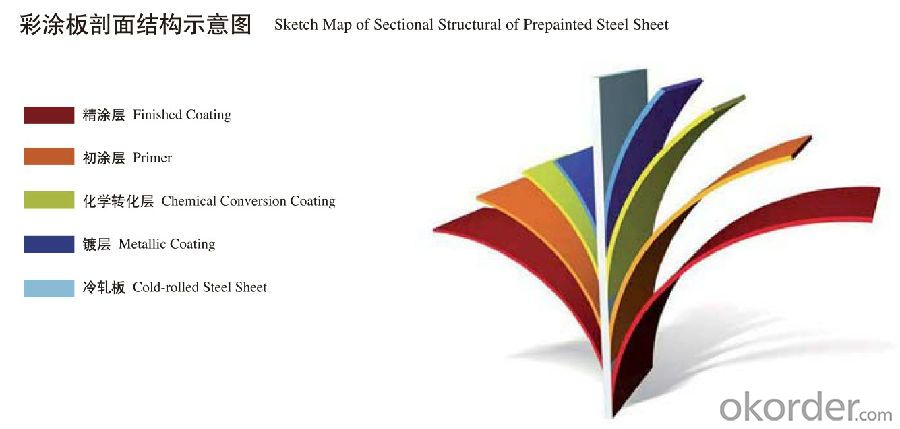 Prepainted GI steel Coil/ PPGI / PPGL/ Color Coated Galvanized Steel Sheet in Coi/PPGI/SGCC/SGLCC