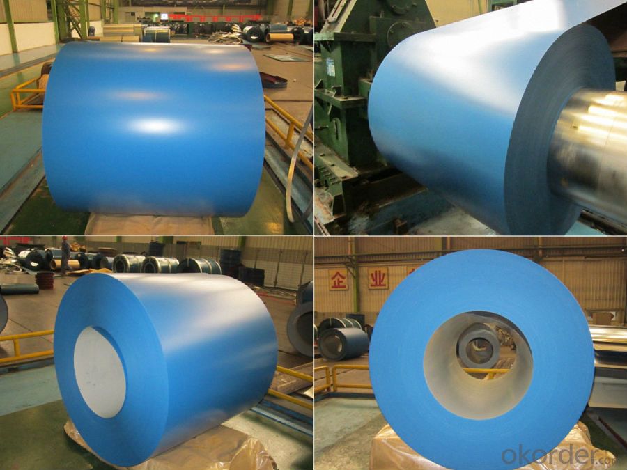 Prepainted Rolled steel Coil for Construction Roof