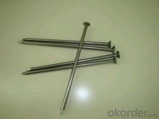 Common Iron Nail with High Quality Factory Direct Price Made in China