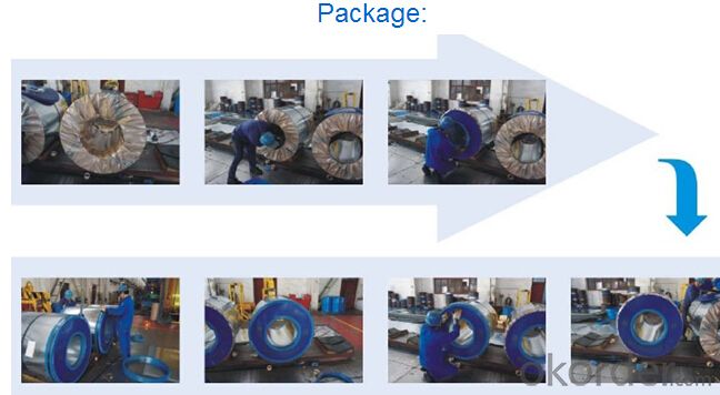 Prepainted Steel Coils with Plain or Matt Surface