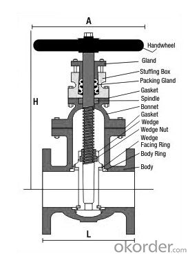 Gate Valve withCast Iron DN50~DN600 PN1.0/1.6MPa Resilient Seated Water