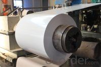 PPGI Prepainted Galvanized Steel Coil