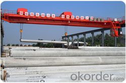 Double trolley double beam overhead crane Factory in China