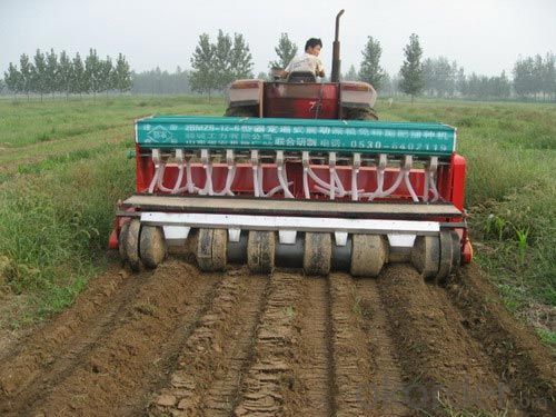 Corn Seeder with CMAX Five Rows Made in China