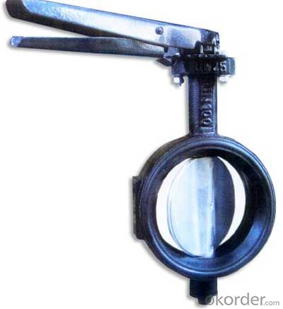 Butterfly Valve Stainless Steel Threaded Directional with Plastic Handle Made in China