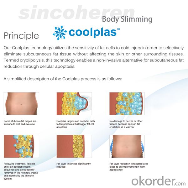 Coolplas Cryolipolysis fat freezing machine for body slimming