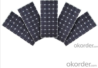 Monocrystalline Solar Panels  from CNBM with Competitive Price