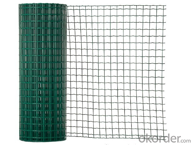 Holland  Wire  Mesh -- Best  Selling  Product