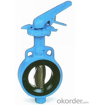 Butterfly Valve Worm Gear Actuated Flange Triple Eccentric