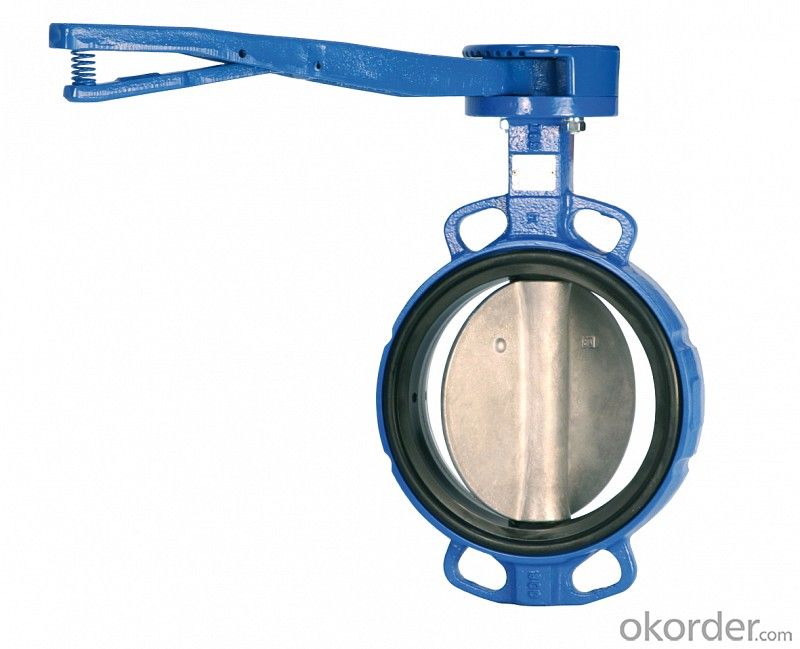 Butterfly Valve on Hot Sale with Worm Steel Gear Actuated Flange Triple Eccentric from China