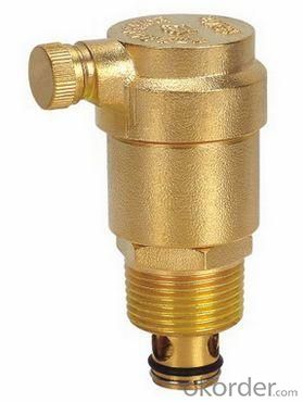 Air Evacuation Valve of Solar Water Heater Parts on Sale
