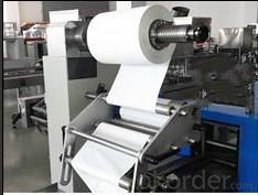 Horizontal Packing Machine for Packaging