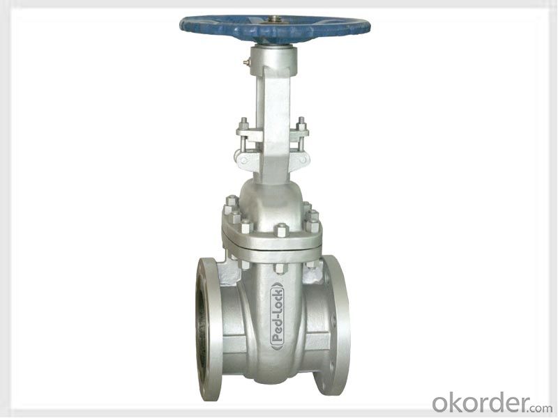 Steel Gate Valve with Good Price Made in China on Sale