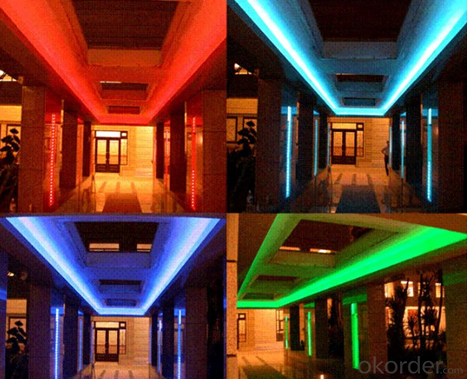 LED Strip Series with SMD 5050   DC24V and Double Row Monochromatic