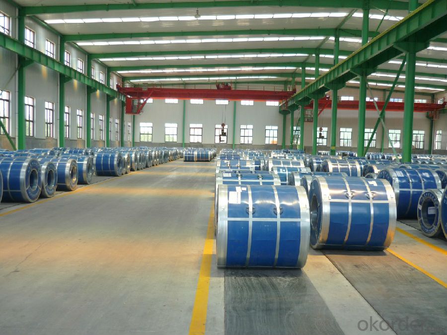 Prepainted Galvanized Steel Coil/Hot Dipped Galvanized Steel Coil
