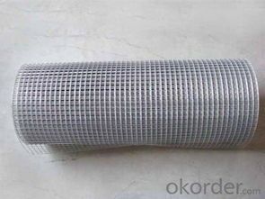 Galvanized Welded Wire Mesh /Widely Used wigh Good Quality and Nice Price