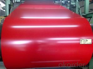 Prepainted Galvanized Rolled Steel Coil/Sheet from China
