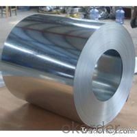 Cold Relled Steel Coil/Plates with High Quality in CNBM